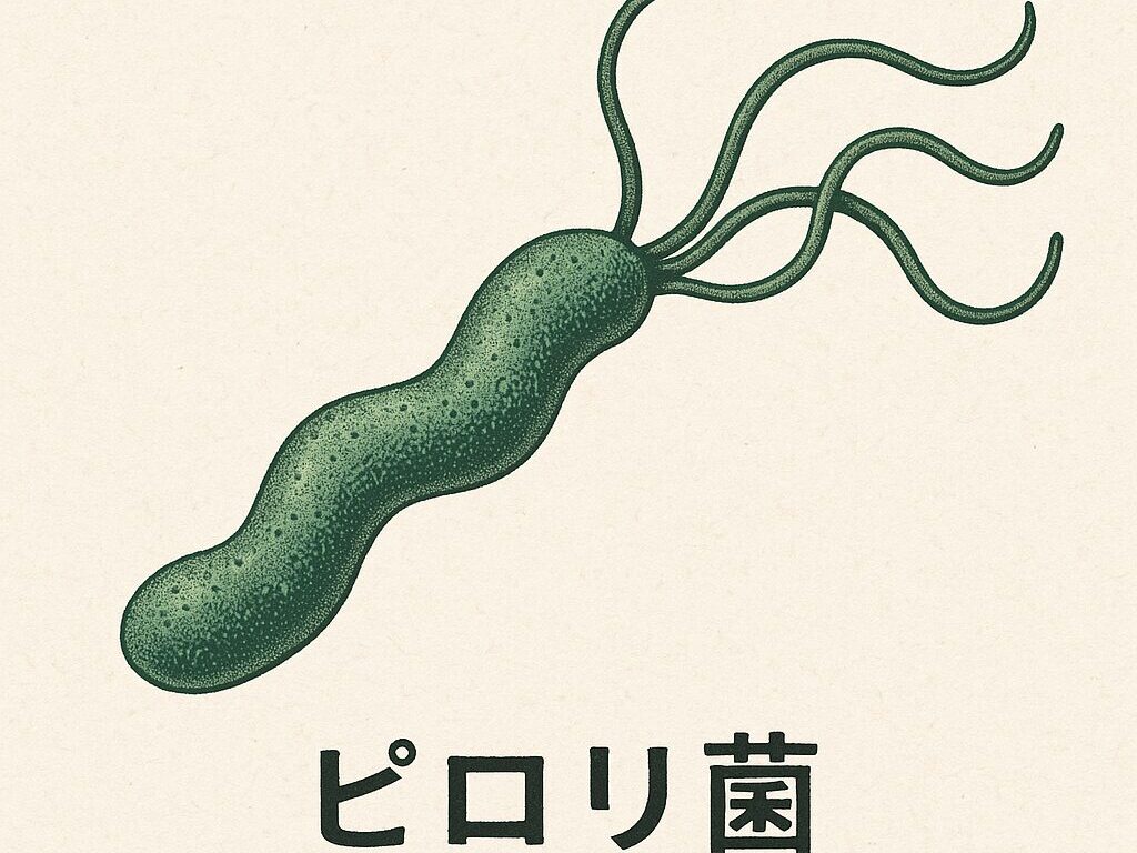 ピロリ菌

