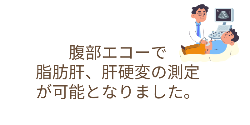 腹部エコーで脂肪肝、肝硬変の測定が可能となりました。
